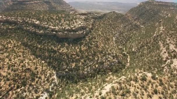 Bryce Canyon Utah Circa 2019 Vista Aérea Del Cañón Bryce — Vídeos de Stock