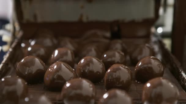 Trufas Chocolate Uma Correia Transportadora Fábrica Doces — Vídeo de Stock