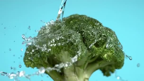 Mavi Arka Planda Brokoliden Akan Fantom Flex Kamerayla Ağır Çekimde — Stok video
