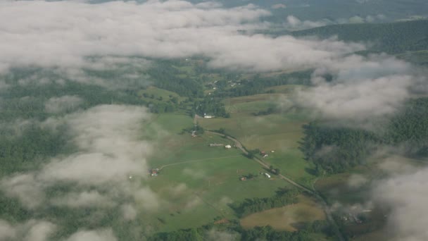 Groene Landelijke Landschap Luchtfoto Video — Stockvideo
