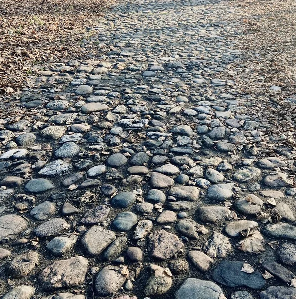 Участок Древней Дороги Облицованный Камнем — стоковое фото