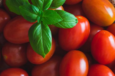 Ahşap zemin üzerinde kırmızı kiraz domatesleri