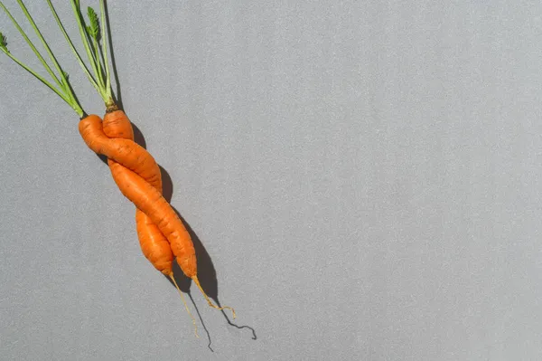 A couple of ugly imperfect carrots on gray background. Zero waste food concept. Flat lay, Copy space — Stock Photo, Image
