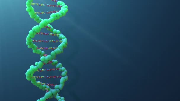 Dna helix strand rotating on the dark blue background with blank copy space — Stock Video