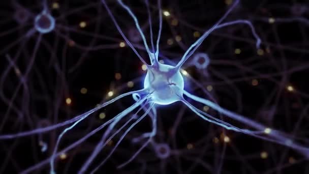 Animación 3d del sistema nervioso humano con gran cantidad de células nerviosas pulsantes — Vídeo de stock