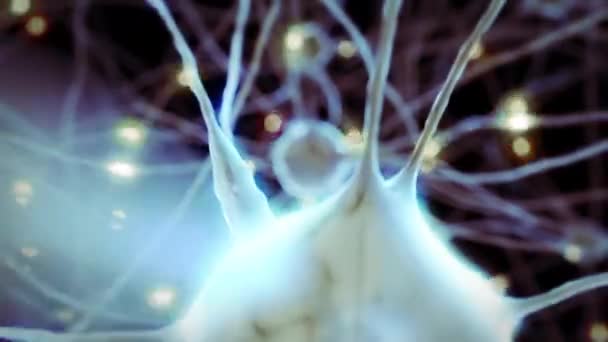 3d animation of the nerve cells with curve axons in the human brain structure — Stock Video