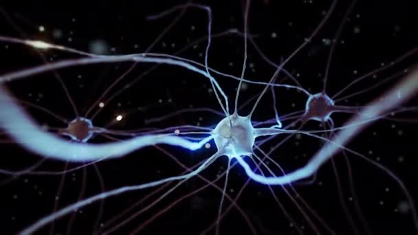 Célula nerviosa en el cerebro humano que pulsa y transmite las señales eléctricas — Vídeos de Stock