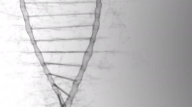 Siyah DNA ipliği bilim konseptinde beyaz arka planda yavaşça dönüyor