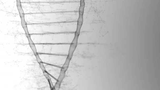 Svart DNA strand långsamt roterande på den vita bakgrunden i vetenskap koncept — Stockvideo