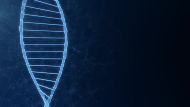 Dna molecule background with copy space for scientific and biotechnology project — Stock Video