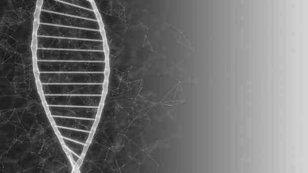 White dna strands and genetic spiral rotating on dark grey gradient background — Stock Video