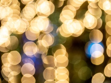 Blurred Holiday Christmas Background with Bokeh