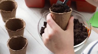 Ekme işlemi. Çocukların elleri toprağı turba tencerelerine döker. Ev çiftçiliği.