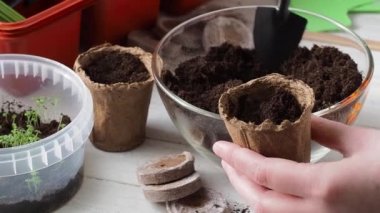 Ekme işlemi. Kadınların elleri turba tencerelerine toprak döktü. Ev çiftçiliği.