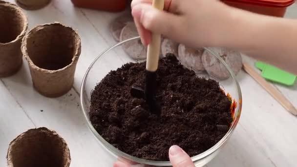 Proces Výsadby Dětské Ruce Nalévají Hlínu Rašelinových Květináčů Domácí Zemědělství — Stock video