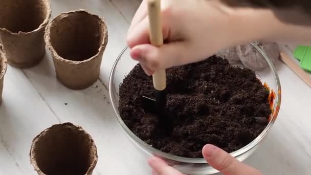 Proceso Plantación Las Manos Los Niños Vierten Tierra Macetas Turba — Vídeo de stock