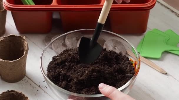 Διαδικασία Φύτευσης Χέρια Των Παιδιών Χύνουν Χώμα Στα Δοχεία Τύρφης — Αρχείο Βίντεο