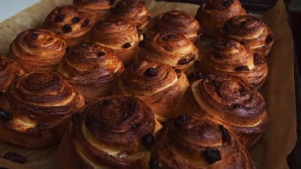 Fertige Brötchen Werden Mit Puderzucker Bestreut Der Prozess Der Herstellung — Stockvideo