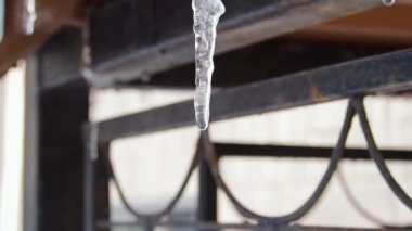 Gün ışığında buz saçakları. Eriyen kar, bahar.