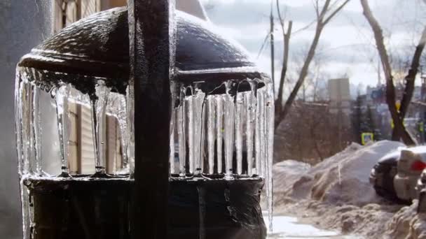 Ijspegels Het Zonlicht Smeltende Sneeuw Lente — Stockvideo