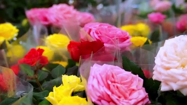 Bouquets Flores Uma Loja Flores — Vídeo de Stock