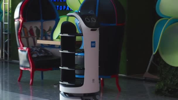 Robot Waiter Works Restaurant New Technologies Replacing People Robots Russia — Stock Video