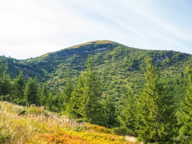 Ukrayna 'daki Karpatlar' daki Hoverla Dağı