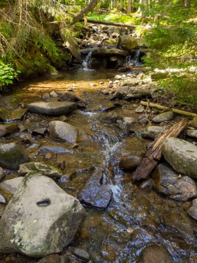 Küçük nehir taşlı vadisinden hızlı ve canlı akıyor.