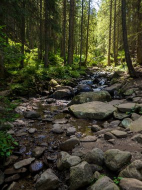 Küçük nehir taşlı vadisinden hızlı ve canlı akıyor.