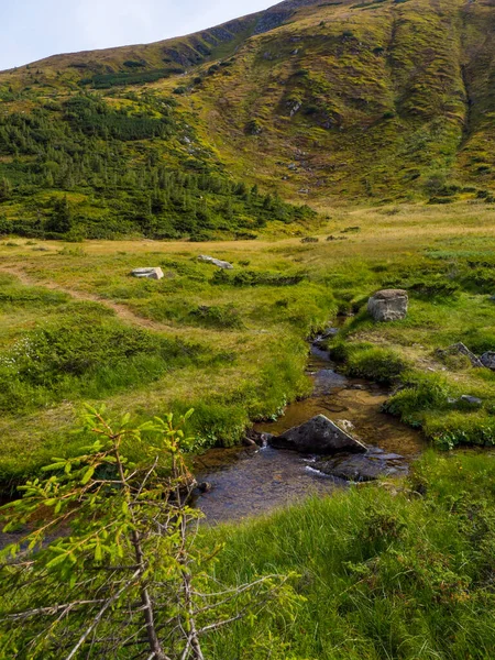 Горный пейзаж с небольшой рекой — стоковое фото