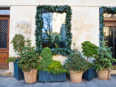 Işıklı bir sürü köknar ağacı olan bir Noel süsü.