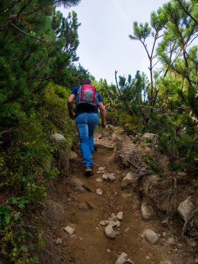 Karpat Dağları 'nın tepesine tırmanan adam