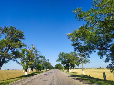 Yol kenarında yeşil ağaçlar ve her iki tarafında da tarlalar olan asfalt yol