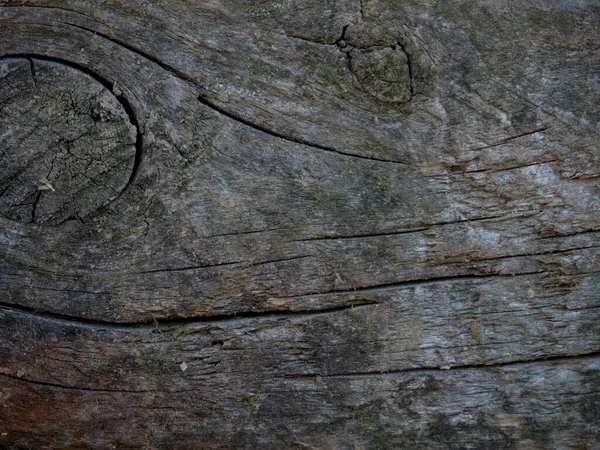 Wietrzne ciemne drewno tło z teksturą — Zdjęcie stockowe