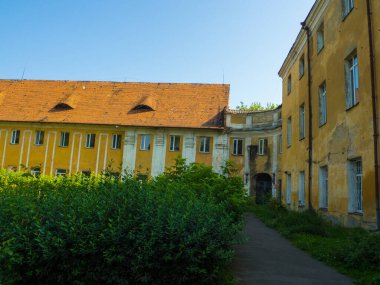 Ukrayna 'nın Volyn bölgesindeki çalılıkların arasında, Olimpika Kalesi' nin kalıntıları. Radziwill mülkü.