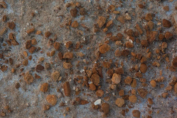 Kurumuş Toprağın Dokusu Kahverengi Taşlı Kumlu Bir Arka Plan Toprakta — Stok fotoğraf