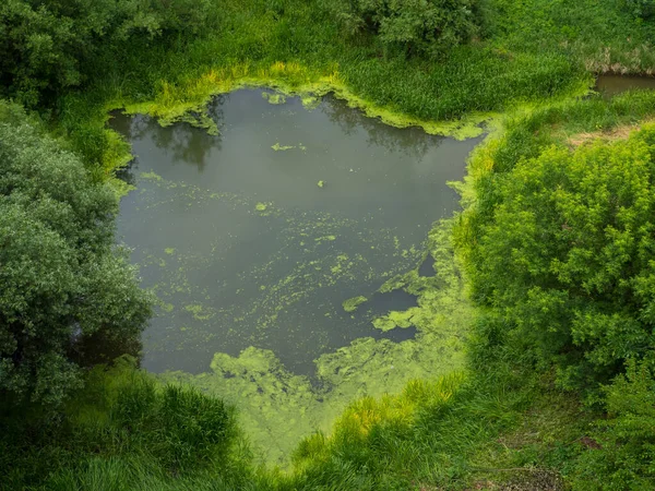 Widok Jezioro Kamianets Podilskyi Ukraina Letni Dzień Panorama Powierzchni Wody — Zdjęcie stockowe