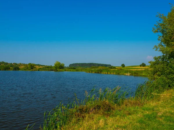 在晴朗的夏日 乌克兰的农村湖面 中午静谧的风景 蓝水映衬 美丽的夏季风景 在绿树成荫的池塘边 — 图库照片