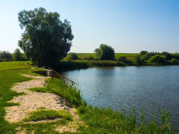 在晴朗的夏日 乌克兰的农村湖面 中午时分 静谧的风景与木制楼梯汇入水中 美丽的夏季风景 在绿树成荫的池塘边 — 图库照片