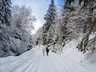 Winter forest in the Carpathians, Ukraine. Rear view of couple walking on the path. The road leads to Lake Synevyr. Trees and path covered in snow. Beautiful nature scenery with spruce trees in snow.