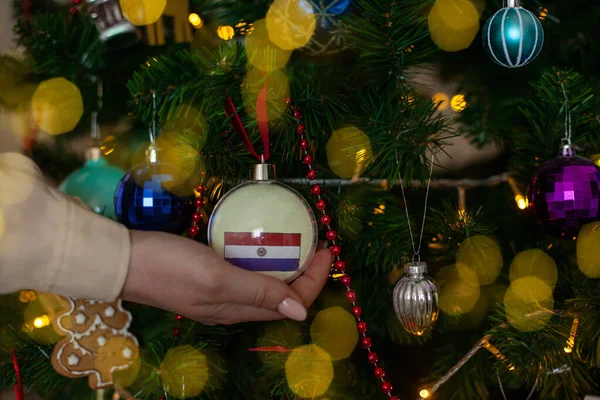 Close Girls Hand Holding Christmas Ball Fir Tree Flag Paraguay — стоковое фото