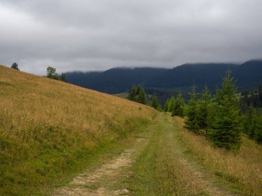 Beautiful nature of the Carpathian mountains and hills in summer cloudy day. Road in the mountains. Landscape with hills and forest. Ukraine.