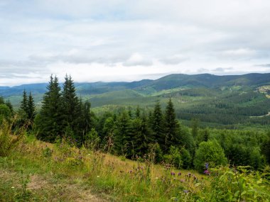 Majestic landscape of summer mountains. View of hills in mist. Carpathians. Amaizing view on the mountains and cloudy sky near Verkhovyna, Ukraine.