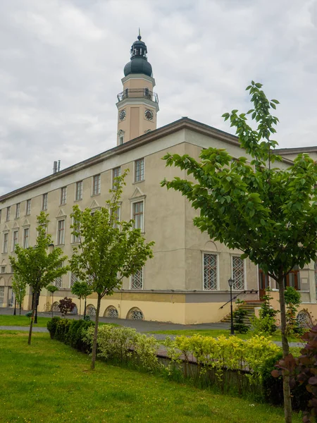 Town Hall Drohobych Market Square Drohobych City Regional Significance Lviv — Foto Stock