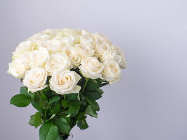 Beautiful bouquet of white blooming roses in glass vase on the white wall background. White flowers, close up. Floral still life. Copy space. Rose hybrid tea Avalanche.