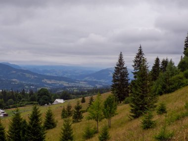 Majestic landscape of summer mountains. View of hills in mist. Carpathians. Amaizing view on the mountains and cloudy sky near Verkhovyna, Ukraine.