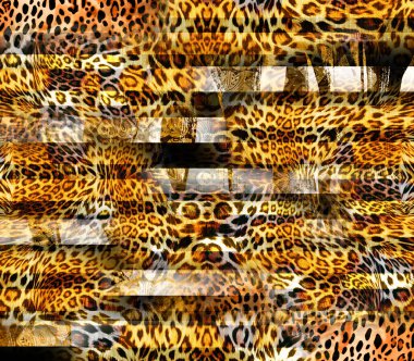 Renkli ve siyah ve beyaz leopar yılan dokularının kombinasyonu tekstil desenleri