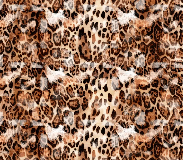 Combinación Colorido Negro Blanco Serpiente Leopardo Texturas Patrón Textil —  Fotos de Stock