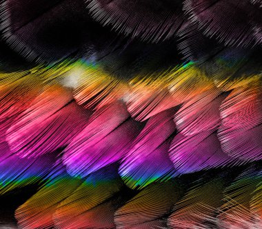 Kumaş desenler, modern moda tasarımları.