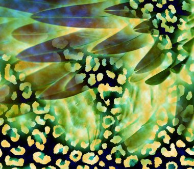 Kumaş desenler, modern moda tasarımları.